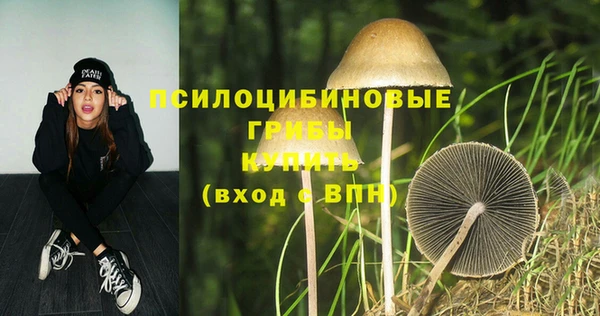 шишки Бронницы