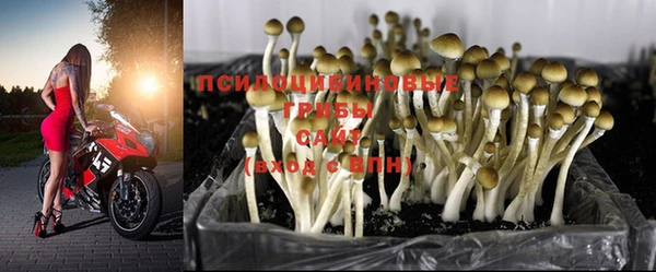 шишки Бронницы