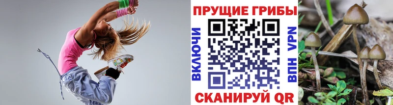 Галлюциногенные грибы Cubensis  Когалым 