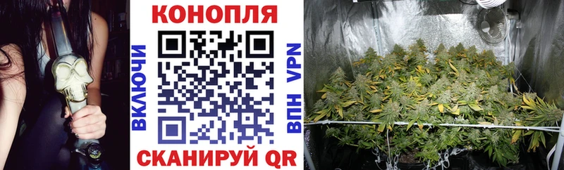 Каннабис планчик  Когалым 